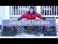Your DIY Plant Shield Snow Protector, Easy, Portable, Low Cost Design