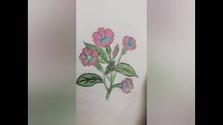 How To Draw Hibiscus Flowers. Sahana Art Galaxy