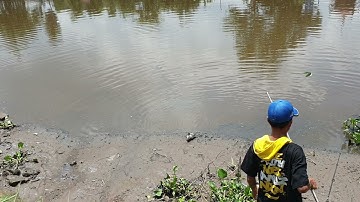 Câu cá tra sông thiên nhiên bình chánh được cá to/cuộc sống và đam mê vlog