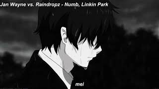 Jan Wayne vs. Raindropz - Numb, Linkin Park (remix)