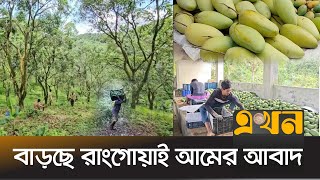 স্থানীয় চাহিদা মিটিয়ে বিভিন্ন অঞ্চলে যাচ্ছে পাহাড়ি আম | Rangai Mango | Bandarban | Mango Production screenshot 4
