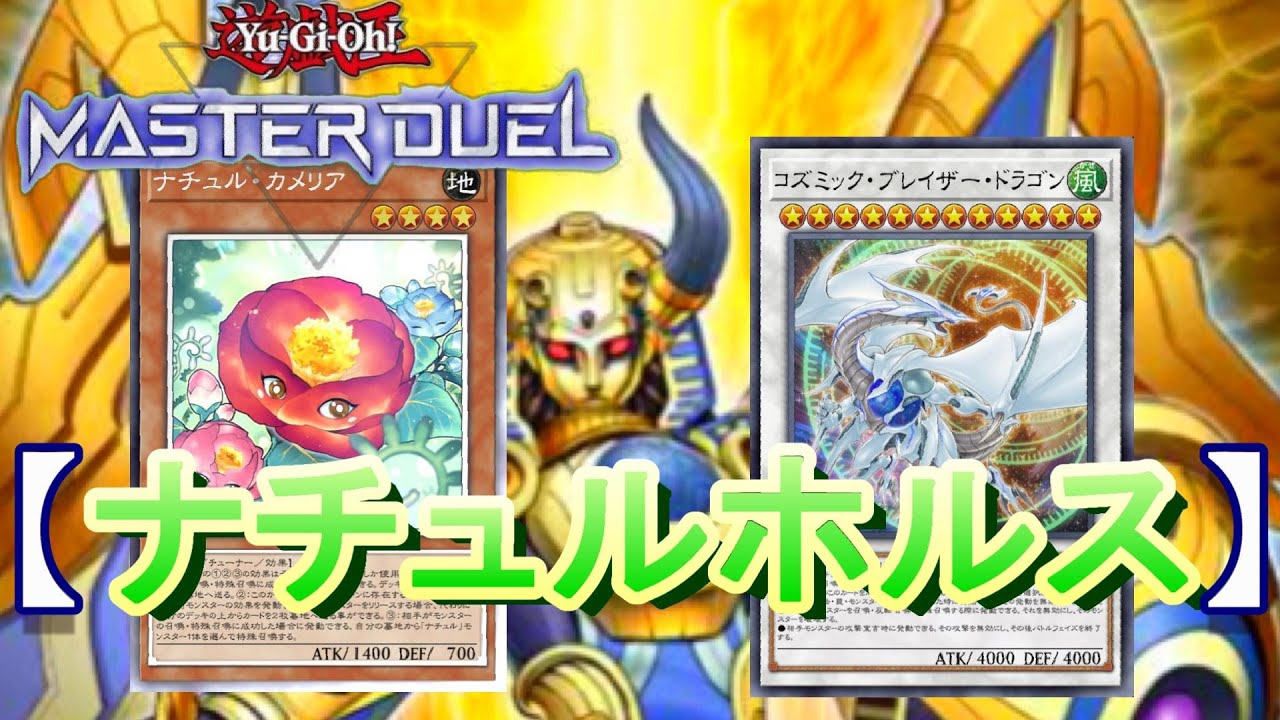 即日発送！大会用　ナチュルホルス　デッキ　遊戯王　ナチュルスティンクバグ Amazon.co.jp: ナチュルホルス デッキ 用 18枚セット ナチュルス