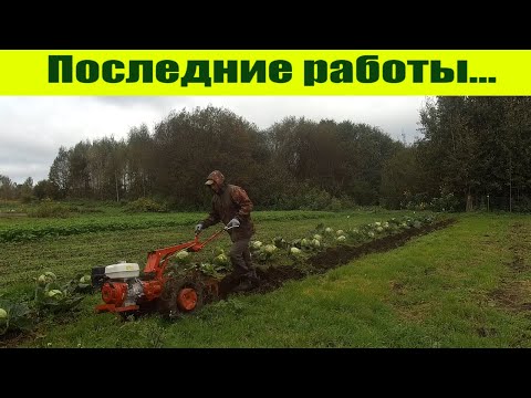 Мотоблок МТЗ: последние