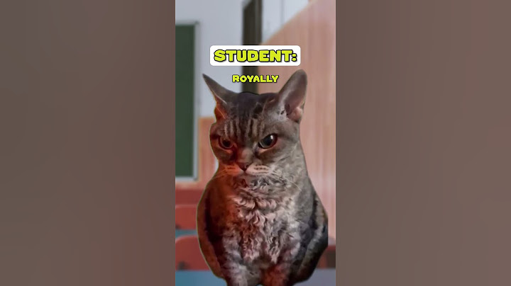 Random Things in Class 🥰 | PART 17 (CAT VERSION🐈) @Ryanhdlombard #shorts