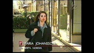 Multimind Medverkar I Rapport År 2000