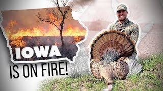 Turkey Season Is ON FIRE In Iowa, How To Use A Mouth Call, Tips & Tricks | Turkey Season 24 screenshot 3