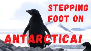 Baby Penguins! (Antarctica Travel Vlog Ep14)