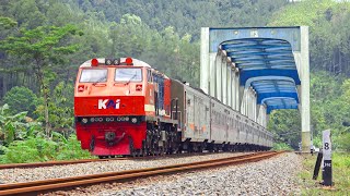 KERETA API PANJANG‼️ MENEMUKAN 24 KERETA API MELINTASI JEMBATAN DAN TEROWONGAN