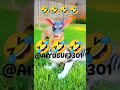#shortvideo #funny #cats ,#dogs #funny
