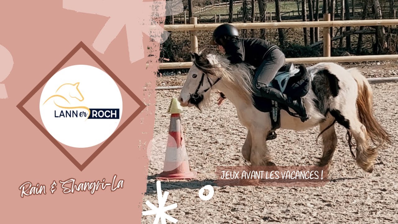 🤎 Jeux : DE RETOUR À SHETLAND !