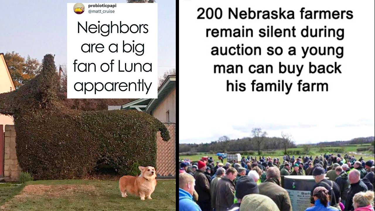 Feel Down? Check Out These Uplifting Posts!