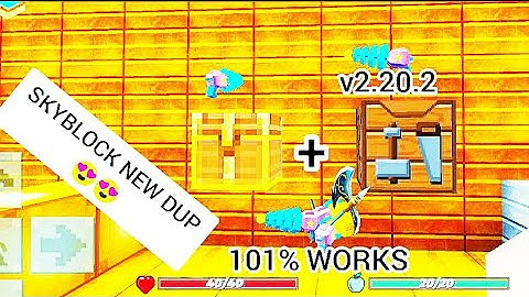 SKYBLOCK NEW DUPLICATION GLITCH V2.20.2 101% WORKING DUP.