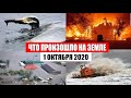 Катаклизмы за день 1 октября 2020 | месть природы,изменение климата,событие дня, в мире,боль земли