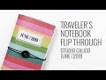 Traveler's Notebook Flip Through | Studio Calico June 2018
