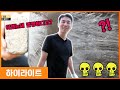 서민갑부에서 증명된 PPF필름의 쩌는 위력!★