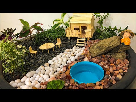 Video: Kweek 'n miniatuurtuin in die huis