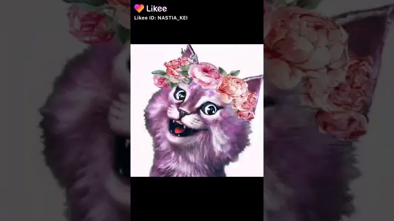 Кошка Лана Фото В Реальной Жизни