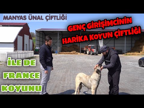 GENÇ GİRİŞİMCİNİN HAYVANCILIK BAŞARISI | ÜNAL ÇİFTLİĞİNDE ÇOK KEYİFLİ SOHBET