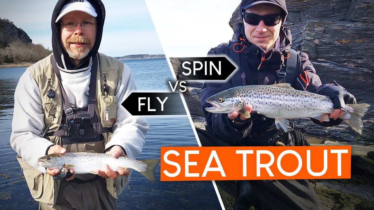 Fly vs spin fishing for SEA TROUT YouTube