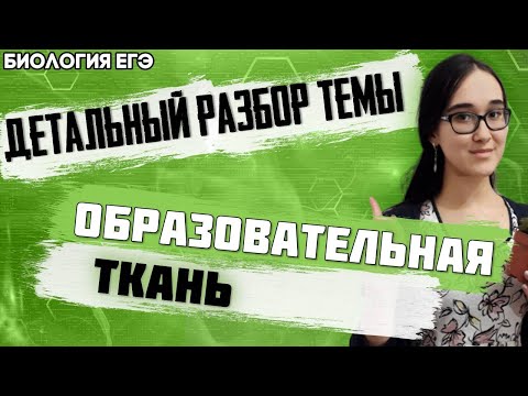 ЕГЭ Биология 2022 | Образовательная ткань | Типы меристем | Детальный разбор