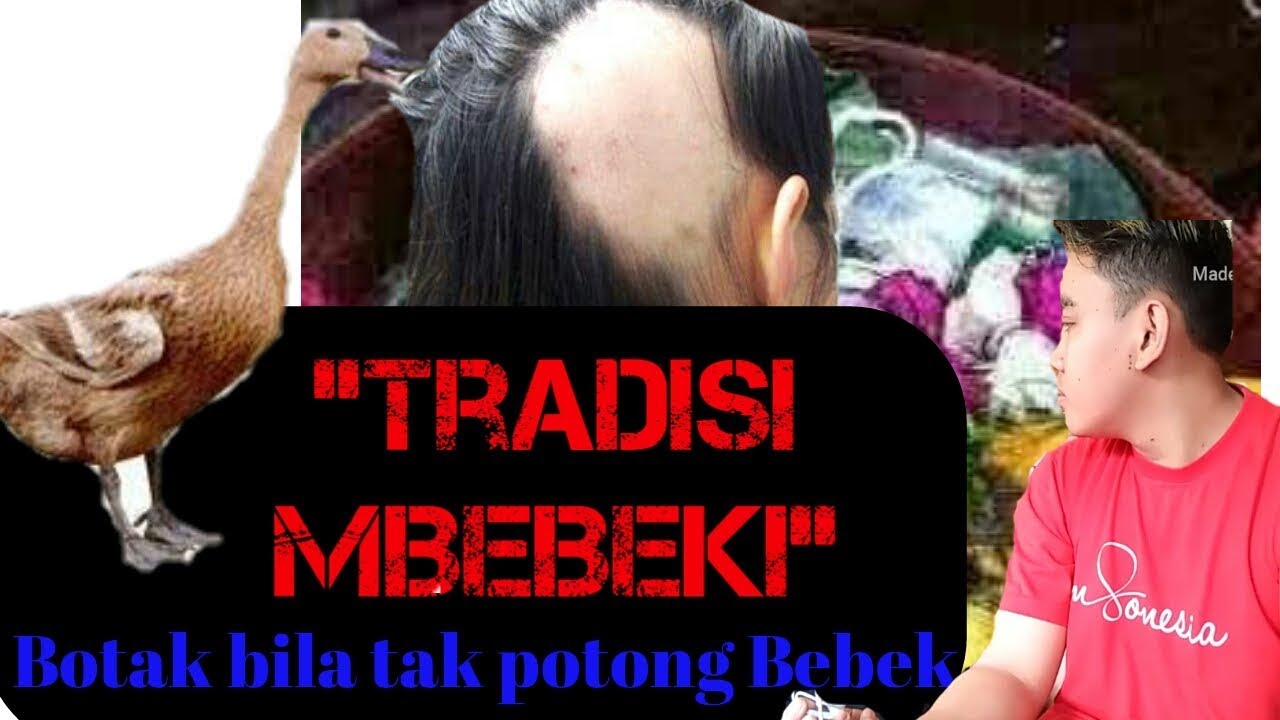 Tradisi Mbebeki II Bisa Botak Kalau Tak Potong Bebek II Sisi Lain