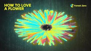 Forest Zero - How to Love a Flower (Official Music Video)
