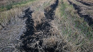 Lợi ích Khi Đốt RƠM RẠ