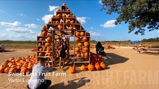 ZIPLINE AT A PUMPKIN PATCH?! Sweet Eats Fruit Farm Tour