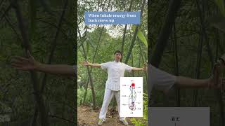 Increase internal energy and release stress #TaiChi #Taijiquan #MartialArts #TCM    #energywork