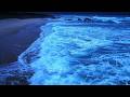 Clear your mind by listening to the waves on the beach 🌊 gentle sound of the ocean to help you sleep