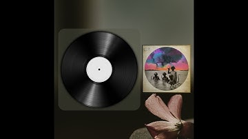 Bar Ză - Pasărea pe sârmă [BDV028]