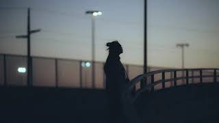 Paper moth - Neverending