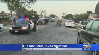 Driver Sought In Fatal South LA Hit-And-Run