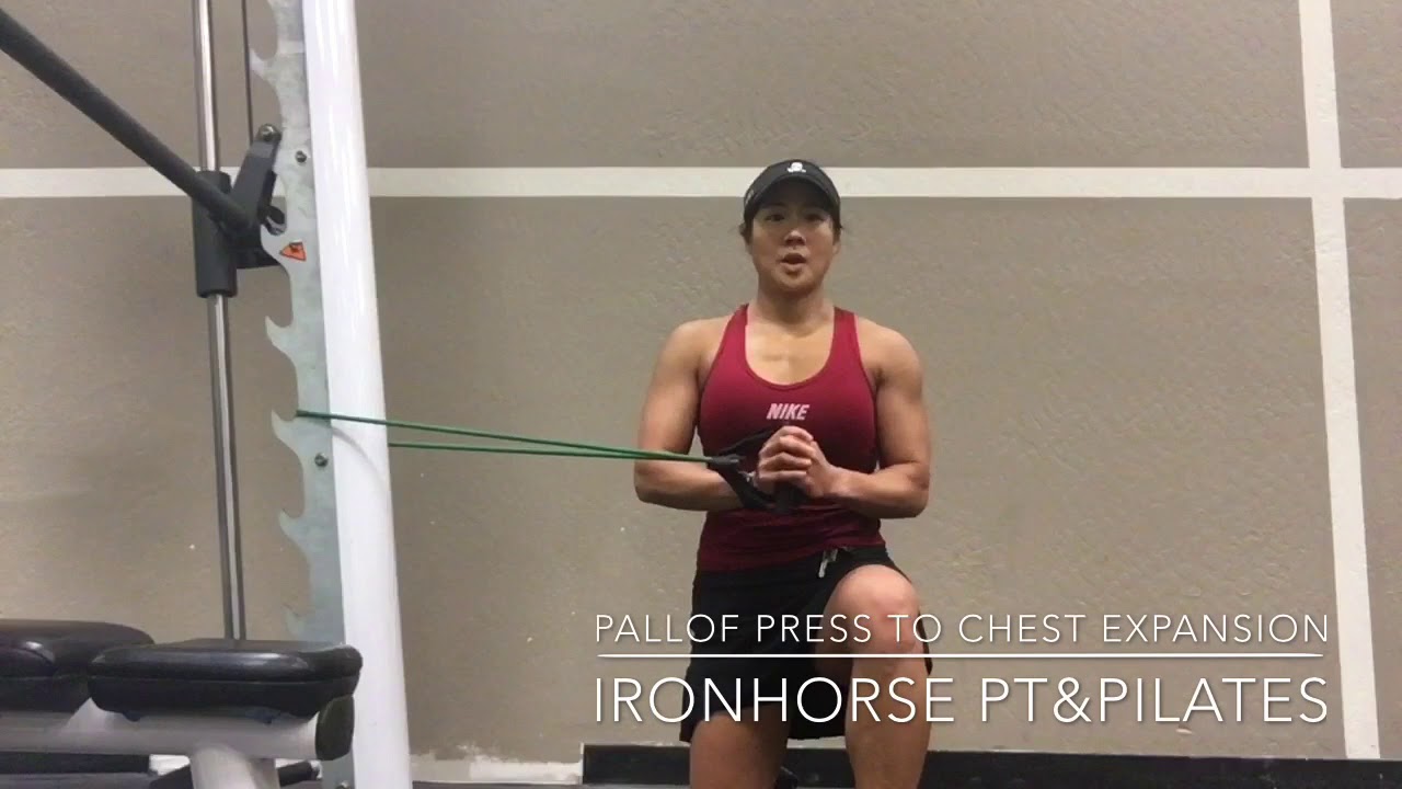 camera iphone 8 plus apk PALLOF press to chest expansion