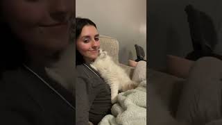 pov: your cat never learned what personal space is
