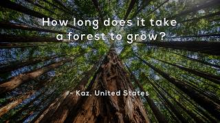 How Long Does It Take A Forest To Grow?