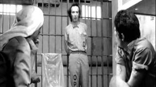 Download Lagu Down By Law  (Not Enough Room to Swing a Cat).wmv MP3 Download Lagu Down By Law  (Not Enough Room to Swing a Cat).wmv MP3