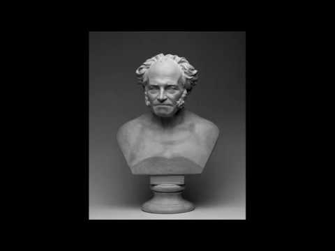Артур Шопенгауэр —  О ничтожестве и горестях жизни