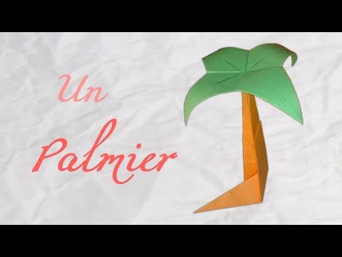 Vidéo: Comment Faire Un Palmier En Papier