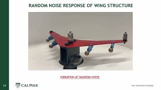 Aircraft Wing Lab Report Vibrations
