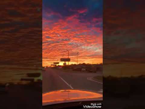 حالات واتساب ميادة بسيليس الدنيا كلا غروب