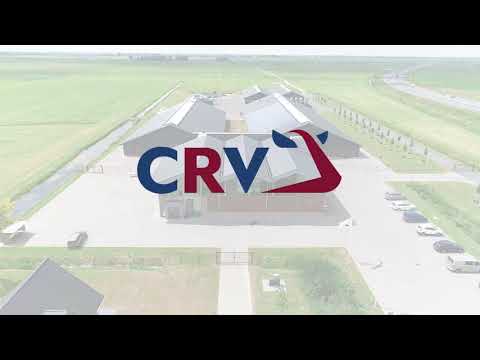 Dairy Breeding Center Wirdum (the Netherlands)