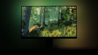 Ambilight Video Game Demo - Recording screenshot 2