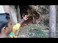 Broken house exploring waiting  meendum sandipom