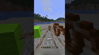 balloons in Minecraft