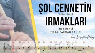 Ney Dersi 7.1-Şol Cennetin Irmakları | Segah İlahi | Solfej-İcra (notalı-parmak takibi ile) Resimi