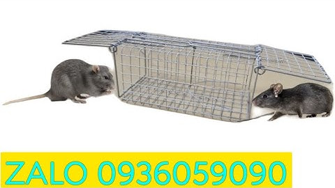 Bán lồng bẫy chuột đường mòn 2 cửa vào. Bán lồng bẫy chuột đàn 2 đầu vào. Bán bẫy chuột đồng.