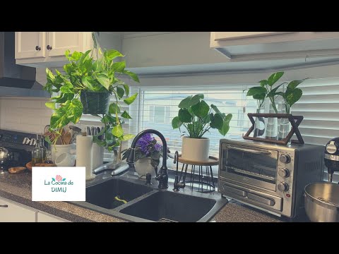 Video: Abonos Para Plantas De Interior