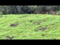 Naturaleza viva. Montañas de Guasca 2021