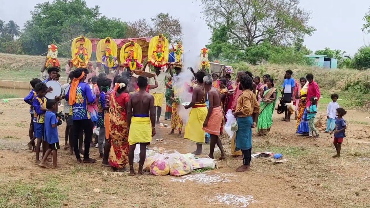 புத்தினக்கோட்டை சாமி அழைத்து வருதல் இருளர் திருவிழா 😍.. 20.04.25